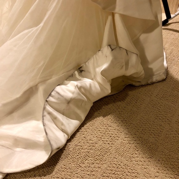 Truly Zac Posen Wedding Dress - Picture 5 of 8